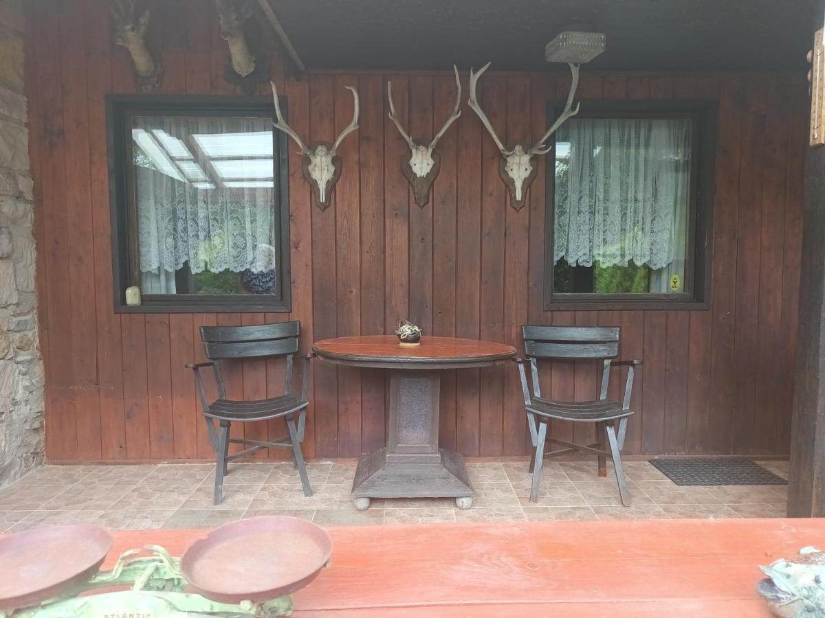 Appartamento U Myslivce Chřibská Esterno foto