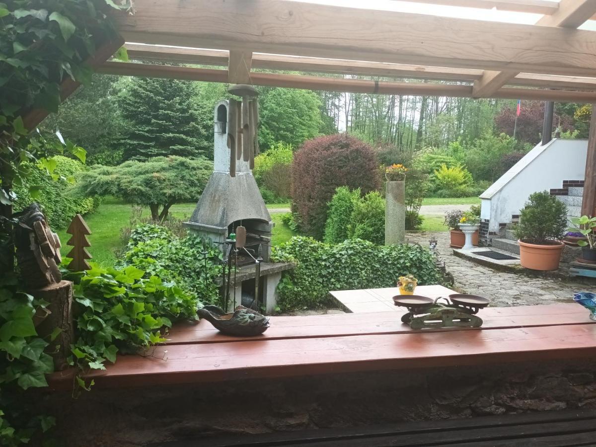 Appartamento U Myslivce Chřibská Esterno foto